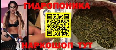 тгк Белореченск